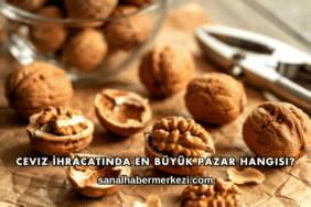 Ceviz İhracatında En Büyük Pazar Hangisi?