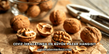 Ceviz İhracatında En Büyük Pazar Hangisi?