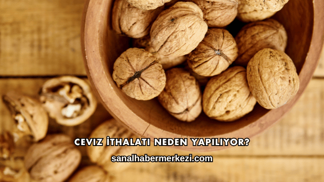 Ceviz İthalatı Neden Yapılıyor?