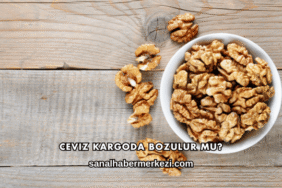 Ceviz Kargoda Bozulur mu?