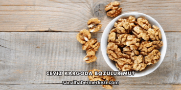 Ceviz Kargoda Bozulur mu?