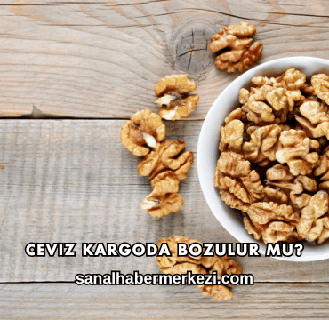 Ceviz Kargoda Bozulur mu?