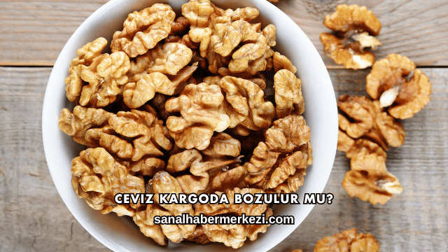 Ceviz Kargoda Bozulur mu?