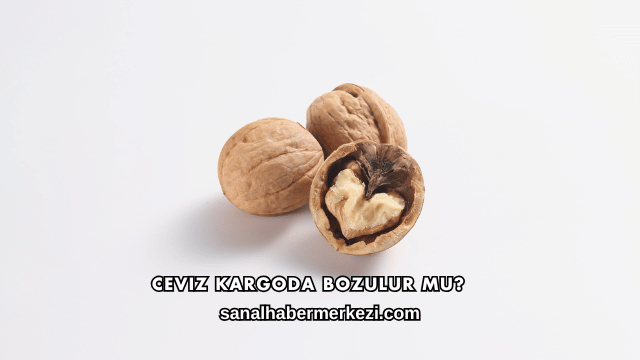 Ceviz Kargoda Bozulur mu?