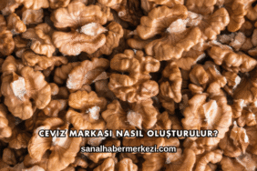 Ceviz Markası Nasıl Oluşturulur?
