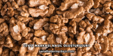 Ceviz Markası Nasıl Oluşturulur?