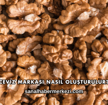 Ceviz Markası Nasıl Oluşturulur?