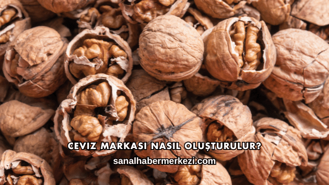 Ceviz Markası Nasıl Oluşturulur?
