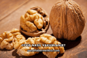 Ceviz Nasıl Vakumlanır?