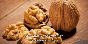 Ceviz Nasıl Vakumlanır?