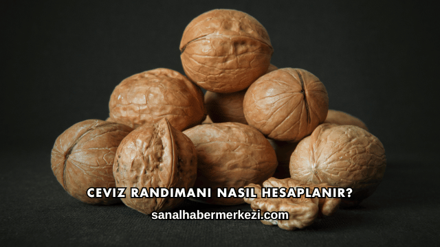 Ceviz Randımanı Nasıl Hesaplanır?