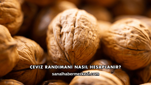 Ceviz Randımanı Nasıl Hesaplanır?