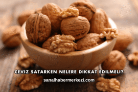 Ceviz Satarken Nelere Dikkat Edilmeli?
