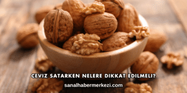 Ceviz Satarken Nelere Dikkat Edilmeli?