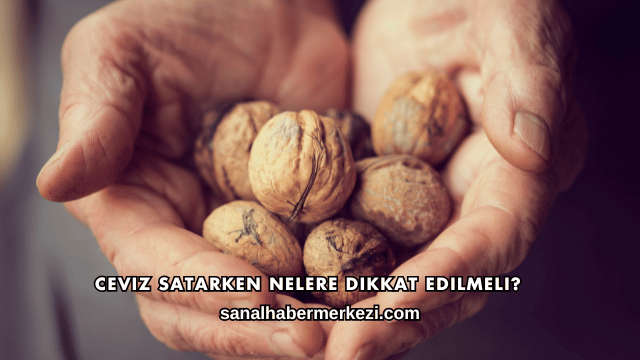 Ceviz Satarken Nelere Dikkat Edilmeli?