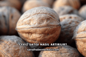 Ceviz Satışı Nasıl Artırılır?