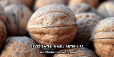Ceviz Satışı Nasıl Artırılır?