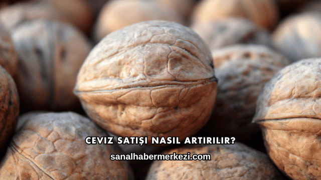 Ceviz Satışı Nasıl Artırılır?