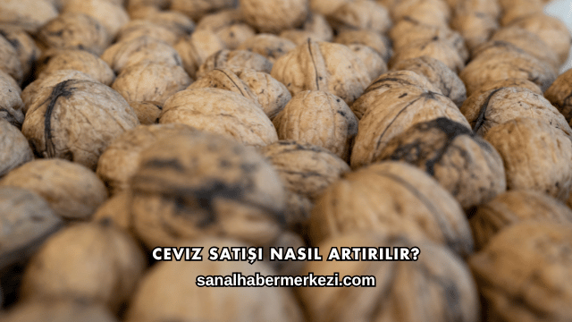 Ceviz Satışı Nasıl Artırılır?