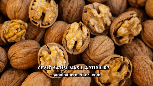 Ceviz Satışı Nasıl Artırılır?