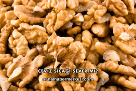 Ceviz Sıcağı Sever mi?