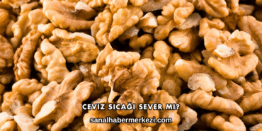 Ceviz Sıcağı Sever mi?