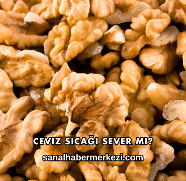 Ceviz Sıcağı Sever mi?