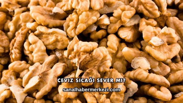 Ceviz Sıcağı Sever mi?