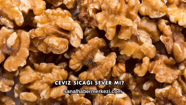 Ceviz Sıcağı Sever mi?