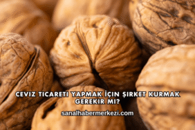 Ceviz Ticareti Yapmak İçin Şirket Kurmak Gerekir mi?