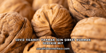 Ceviz Ticareti Yapmak İçin Şirket Kurmak Gerekir mi?