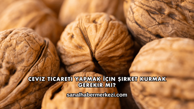 Ceviz Ticareti Yapmak İçin Şirket Kurmak Gerekir mi?