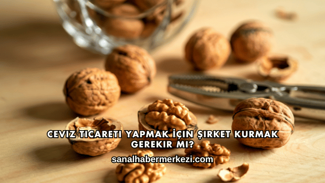 Ceviz Ticareti Yapmak İçin Şirket Kurmak Gerekir mi?