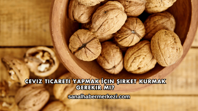 Ceviz Ticareti Yapmak İçin Şirket Kurmak Gerekir mi?