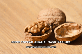 Ceviz Toprak Analizi Nasıl Yapılır?