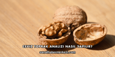 Ceviz Toprak Analizi Nasıl Yapılır?