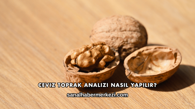 Ceviz Toprak Analizi Nasıl Yapılır?