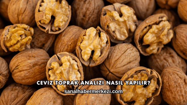Ceviz Toprak Analizi Nasıl Yapılır?