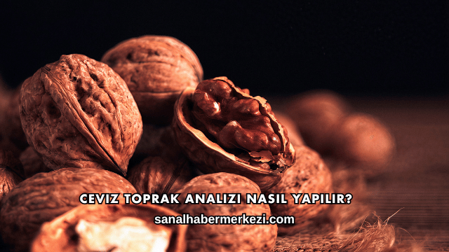Ceviz Toprak Analizi Nasıl Yapılır?