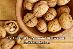 Ceviz Üretimi En Çok Hangi İlde Yapılır?