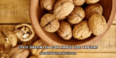Ceviz Üretimi En Çok Hangi İlde Yapılır?