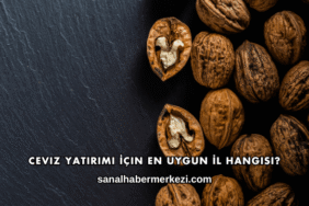 Ceviz Yatırımı İçin En Uygun İl Hangisi?
