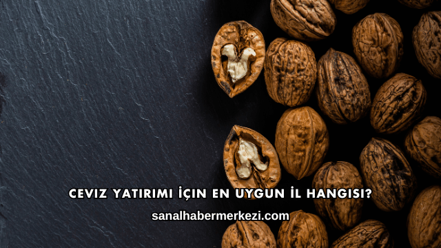 Ceviz Yatırımı İçin En Uygun İl Hangisi?