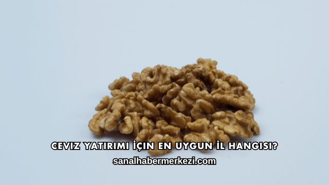 Ceviz Yatırımı İçin En Uygun İl Hangisi?