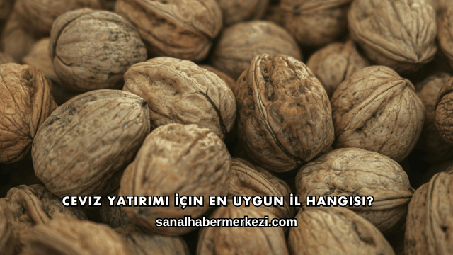 Ceviz Yatırımı İçin En Uygun İl Hangisi?