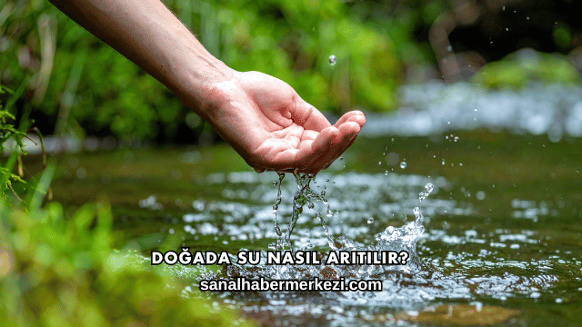 Doğada Su Nasıl Arıtılır