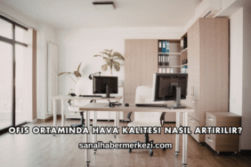 Ofis Ortamında Hava Kalitesi Nasıl Artırılır?