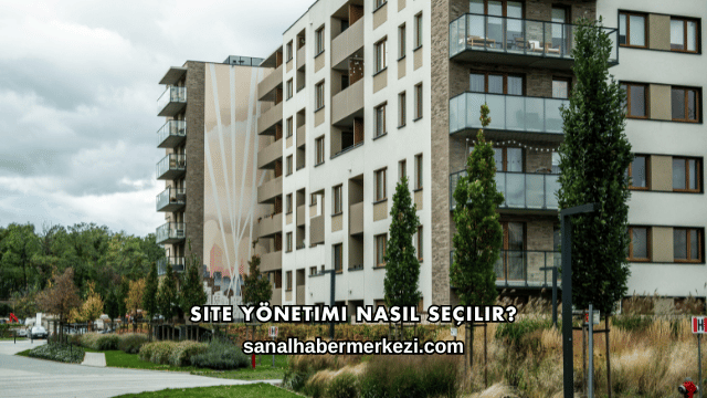 Site Yönetimi Nasıl Seçilir?