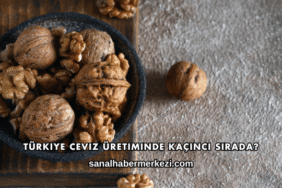 Türkiye Ceviz Üretiminde Kaçıncı Sırada?