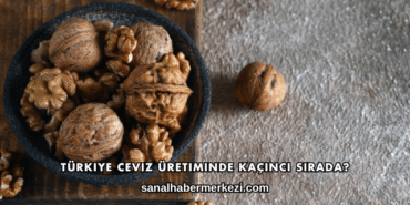 Türkiye Ceviz Üretiminde Kaçıncı Sırada?